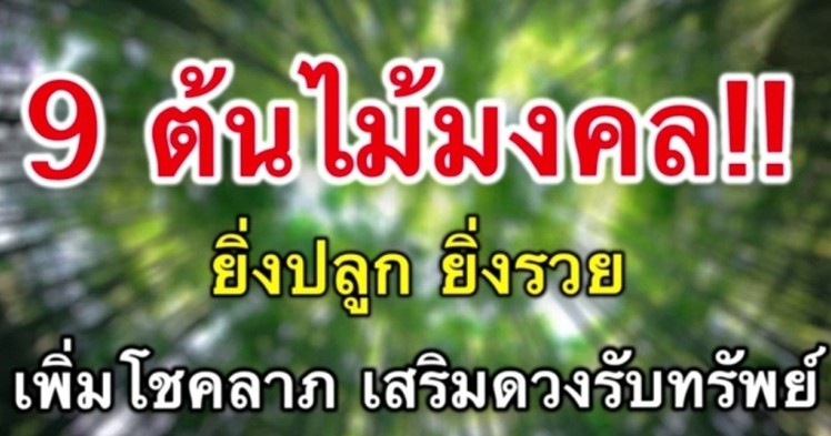 9 ต้นไม้มงคลรับทรัพย์ เสริมดวงชะตา